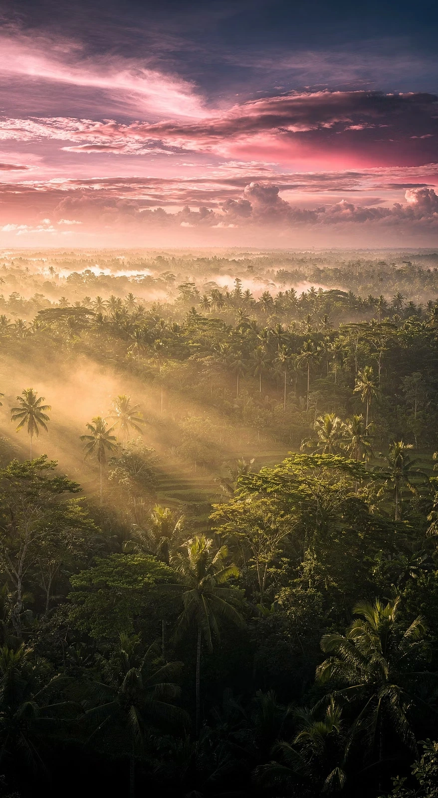 Ashoka Tree Resort Ubud — The Future of Bali Hospitality: Emotionally Branded, Experiential, Boutique Wellness